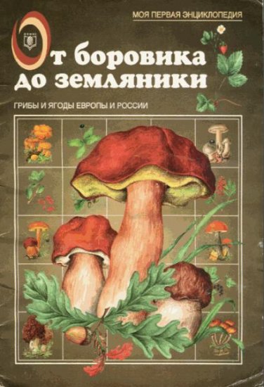 Маталин А.В. - От боровика до земляники (1999) pdf, djvu Маталин А.В. - От боровика до земляники (1999) pdf, djvu
